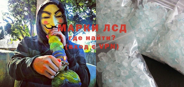 PSILOCYBIN Аркадак