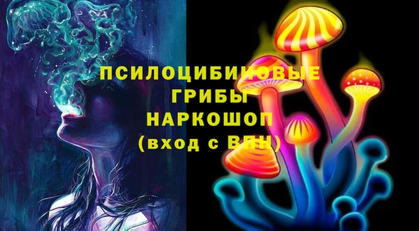 PSILOCYBIN Аркадак