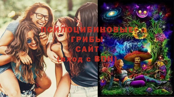 мдпв Сатка